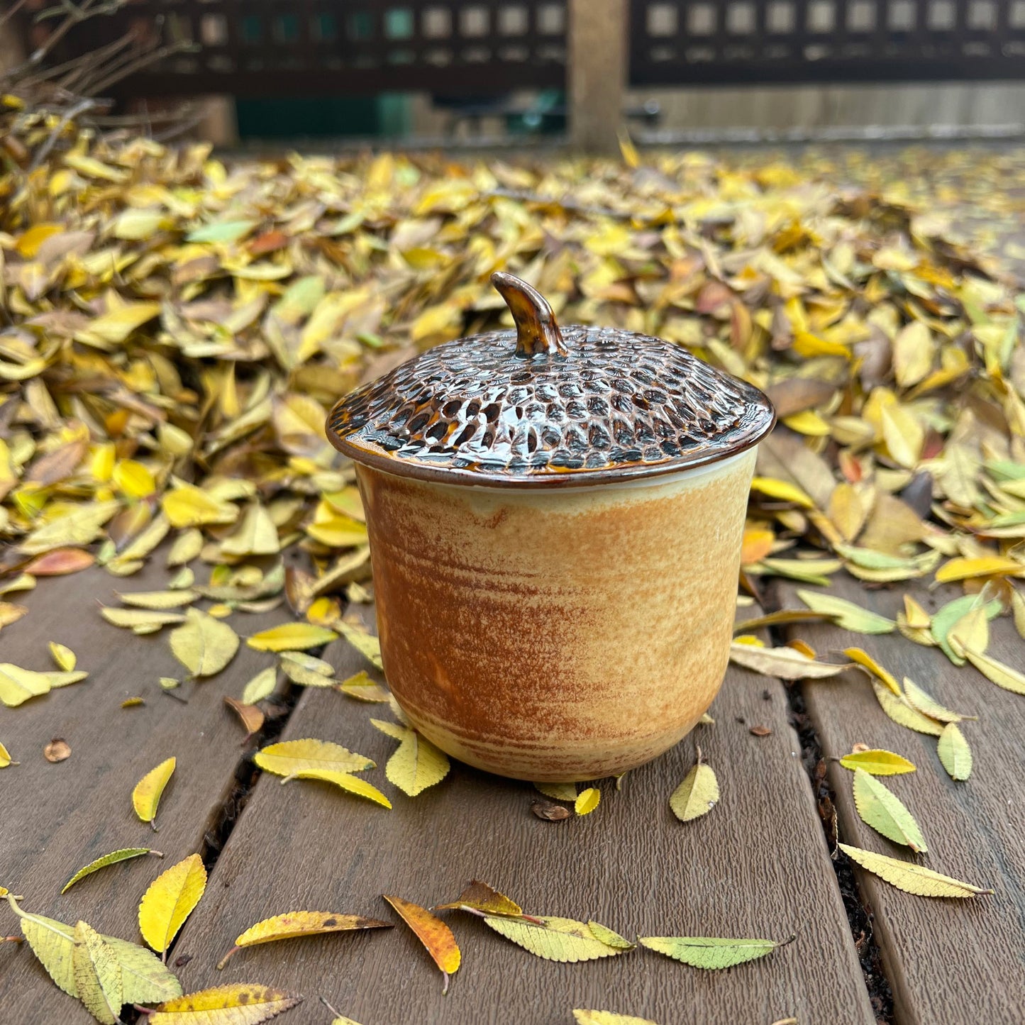 Acorn jar with lid medium