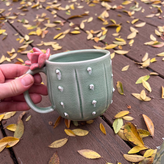 Cactus mugs with flowers