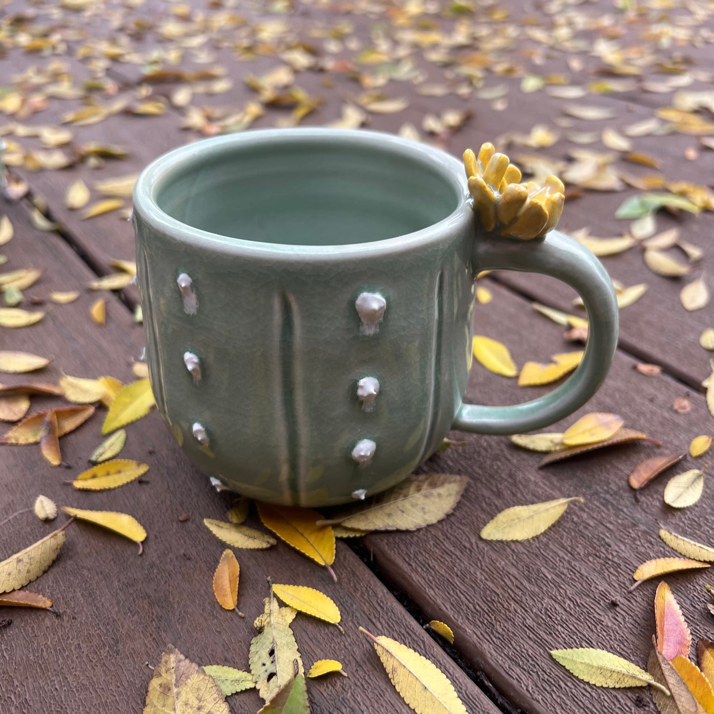 Cactus mugs with flowers