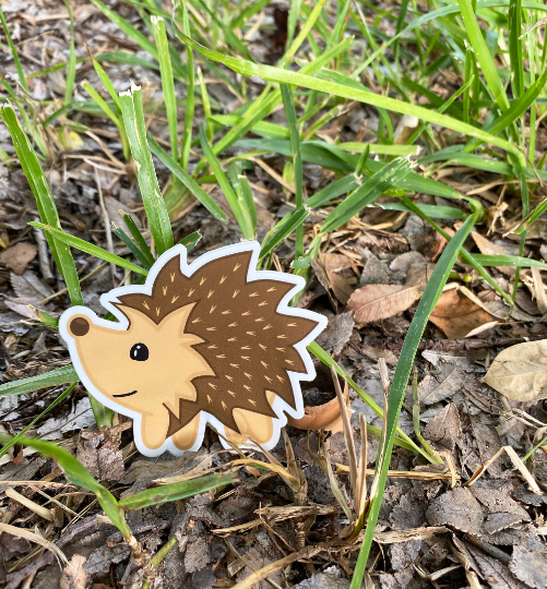 Cute Hedgehog sticker